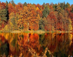 Seasonal Affective Disorder In Oregon